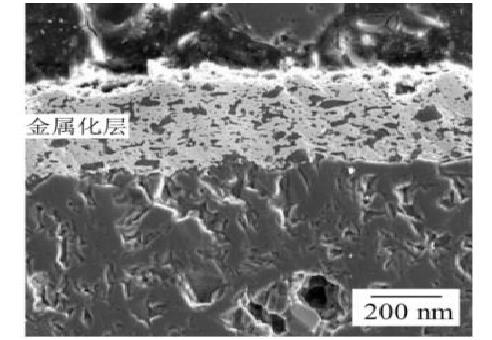 BeO陶瓷基片截面微觀組織.png